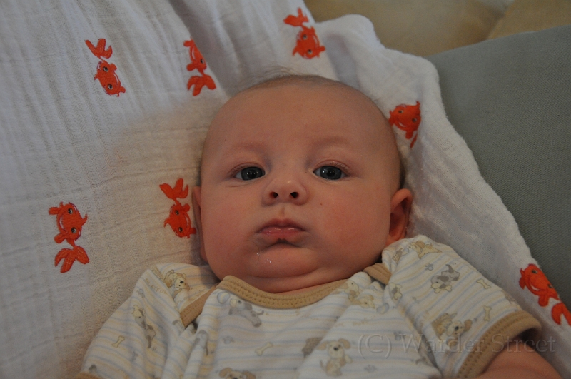 William's Eleventh Week 24.jpg